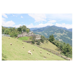 啊┅┅快┅┅用力啊老师赵欢欢
