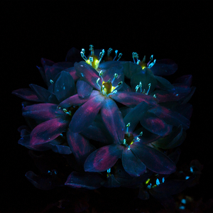 啊┅┅快┅┅用力啊老师赵欢欢
